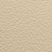 Texture Image Here
